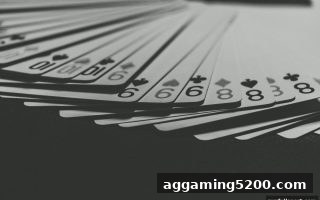 爱游戏体育全站解读：桌游文化的根源、演变与未来趋势