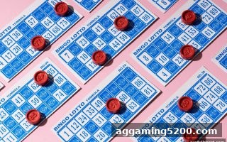 爱游戏体育全站深度解析：数字经济引领彩票行业变革之路
