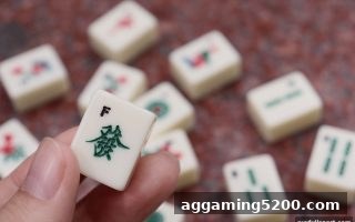 爱游戏体育全站深度解析：Evolution真人麻将混搭打法的进阶实战手册