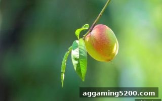 爱游戏体育全站首充福利深度剖析：规则细节与实操指南